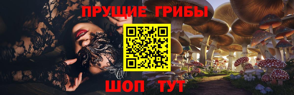 Псилоцибиновые грибы мухоморы  Псилоцибиновые грибы прущие грибы  Вход с VPN  купить  сайты  Новороссийск 